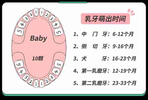 不是所有牙齿不齐都需要“正畸”！这5种牙齿，别急着矫正