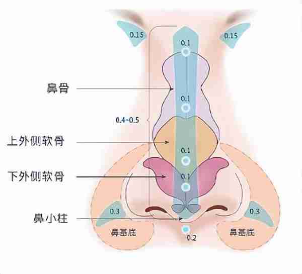 花什么几十万做鼻子？想要隆鼻好看，看完这一篇就够了！