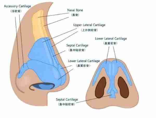 隆鼻是真的会影响鼻部功能吗？